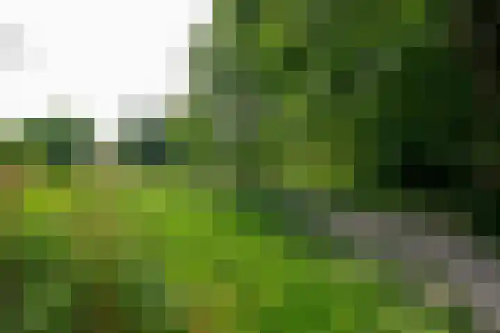 Hermelijnvlinder 36 Leiden thumbnail 44