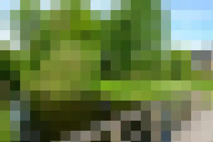 Hermelijnvlinder 36 Leiden thumbnail 45