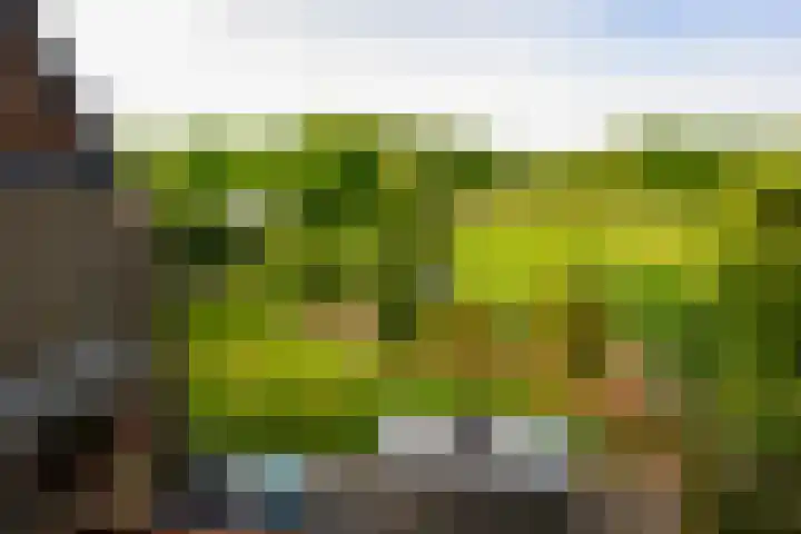 Hermelijnvlinder 36 Leiden thumbnail 5