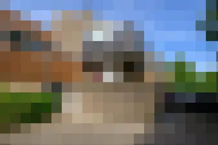 Hermelijnvlinder 36 Leiden thumbnail 6
