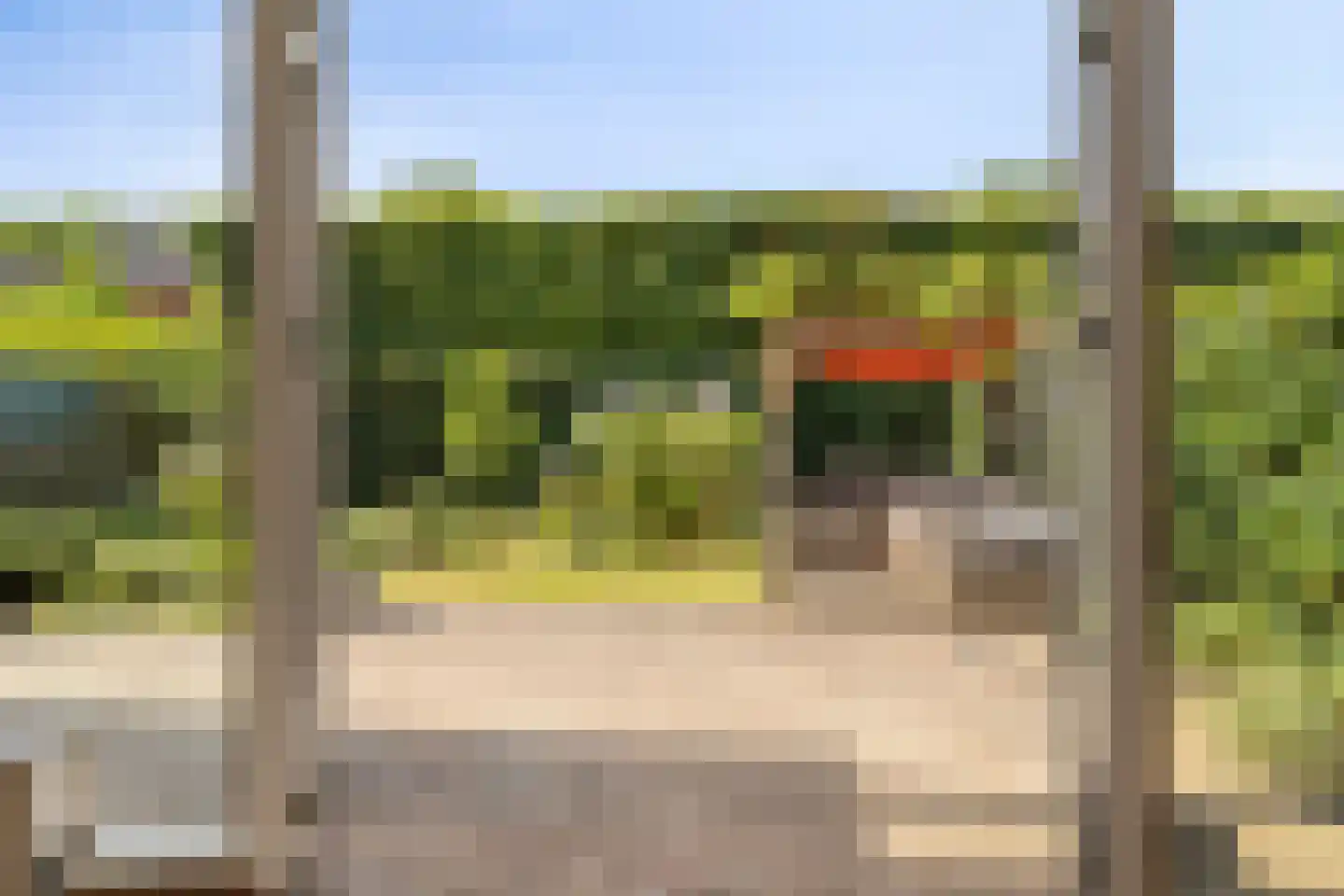 Hermelijnvlinder 39 Oosterhout thumbnail 36