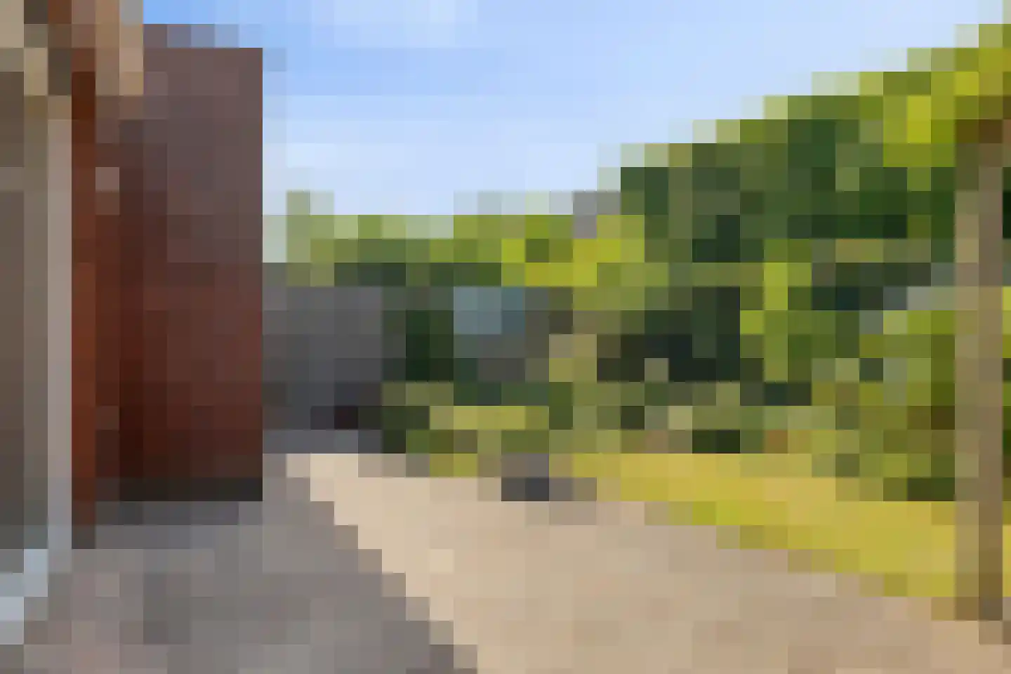 Hermelijnvlinder 39 Oosterhout thumbnail 37