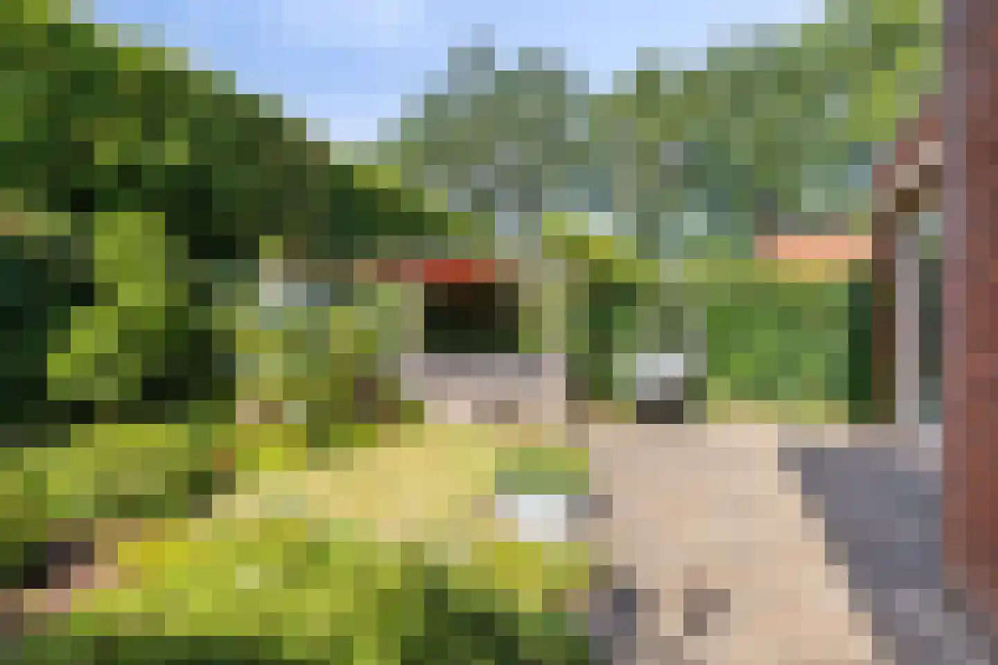 Hermelijnvlinder 39 Oosterhout thumbnail 39