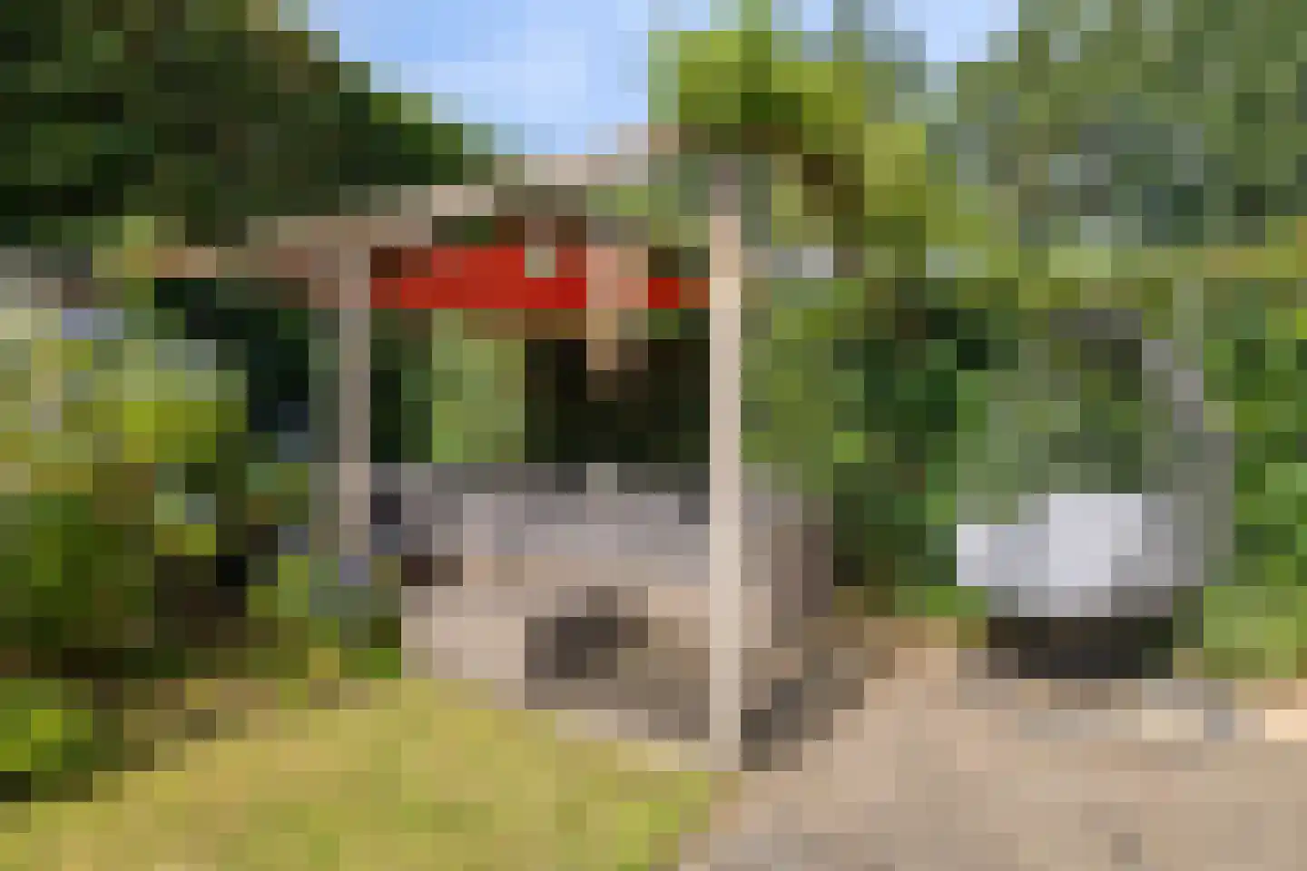 Hermelijnvlinder 39 Oosterhout thumbnail 40
