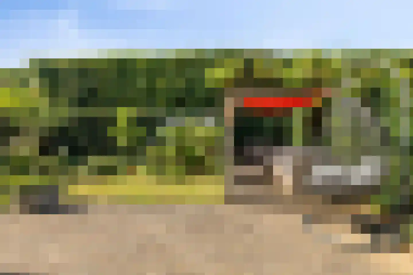 Hermelijnvlinder 39 Oosterhout thumbnail 41
