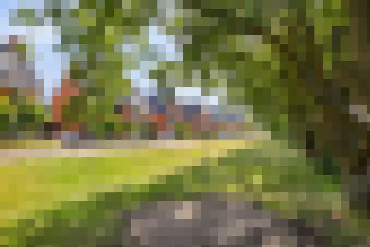 Hermelijnvlinder 39 Oosterhout thumbnail 42