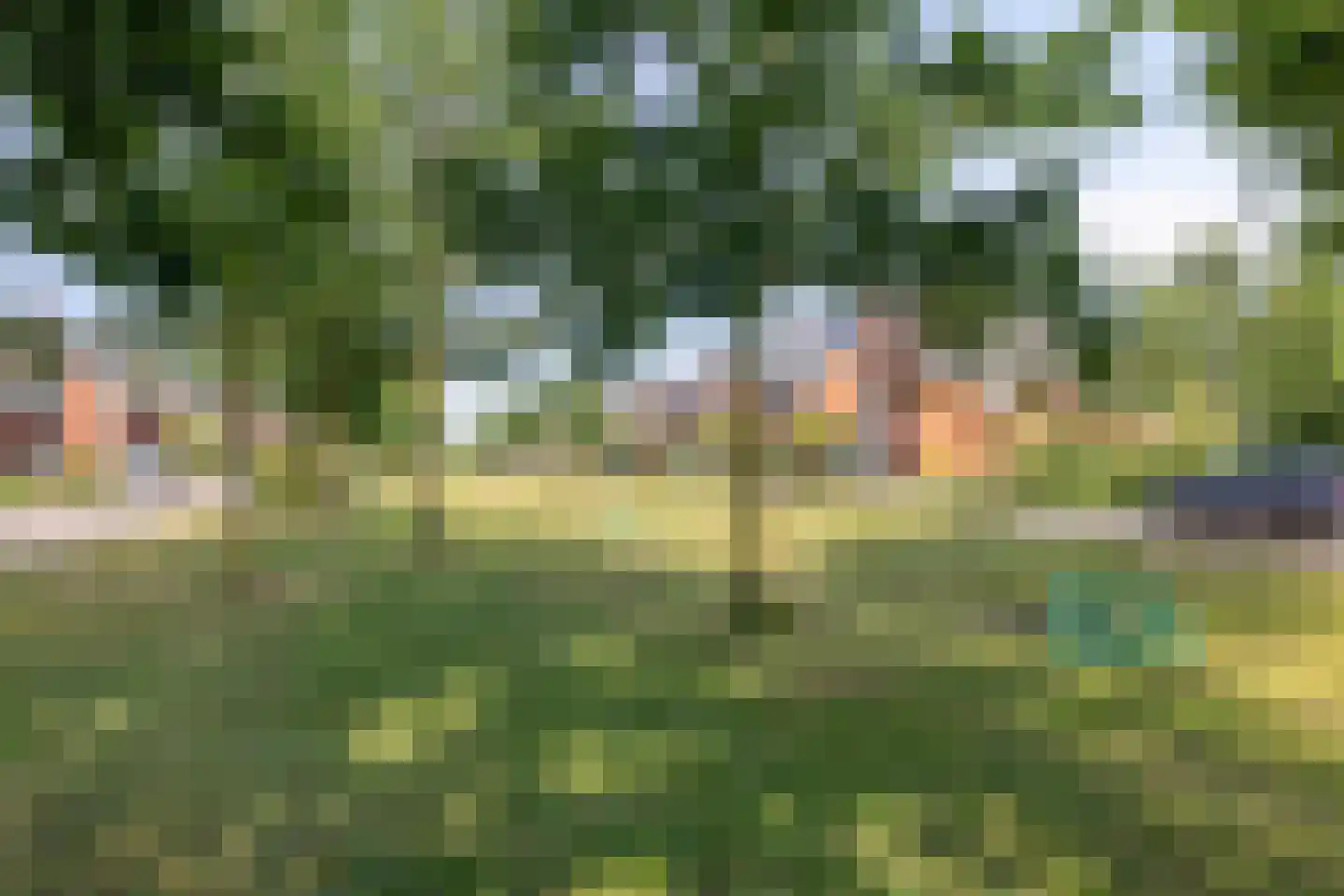 Hermelijnvlinder 39 Oosterhout thumbnail 43