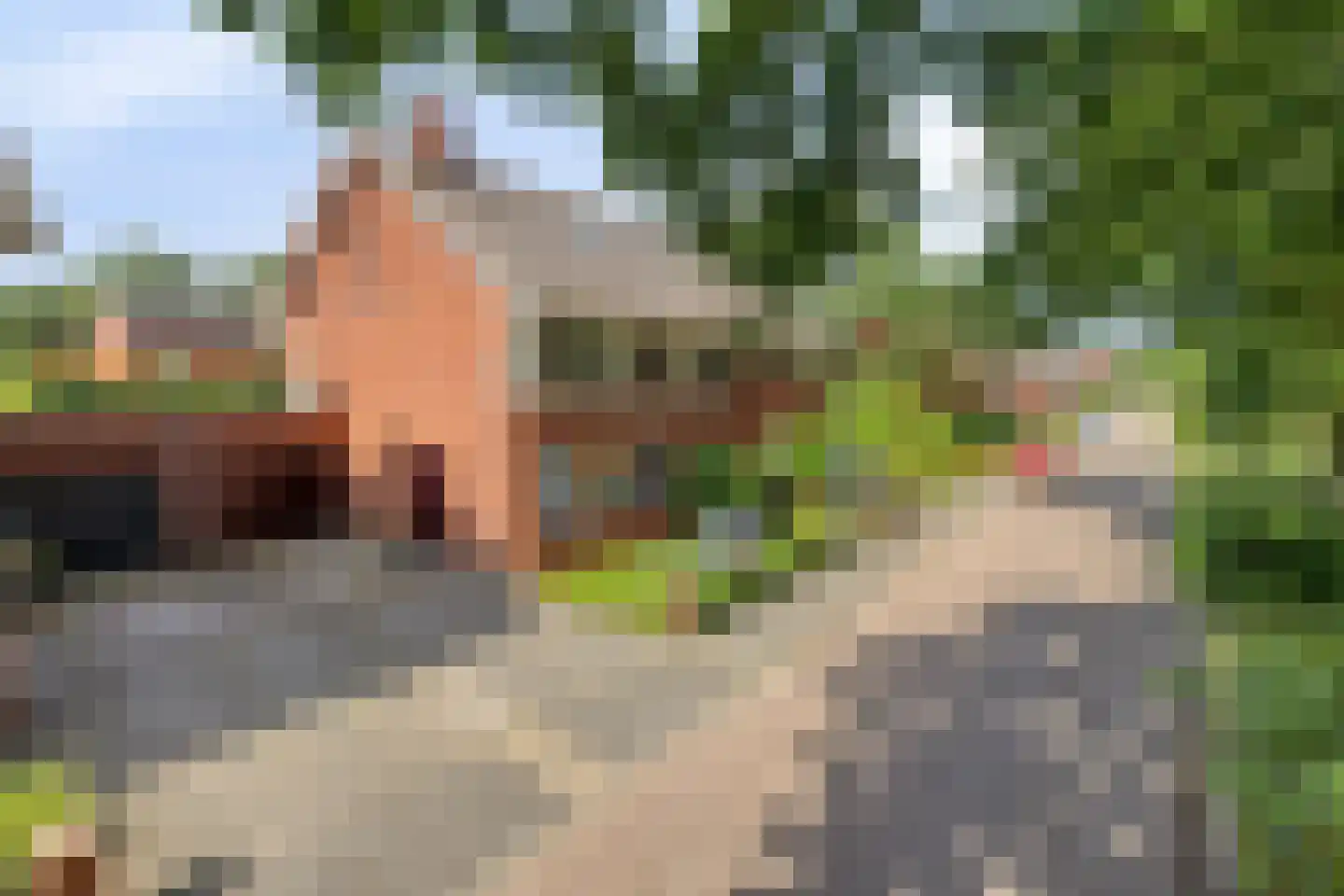 Hermelijnvlinder 39 Oosterhout thumbnail 5