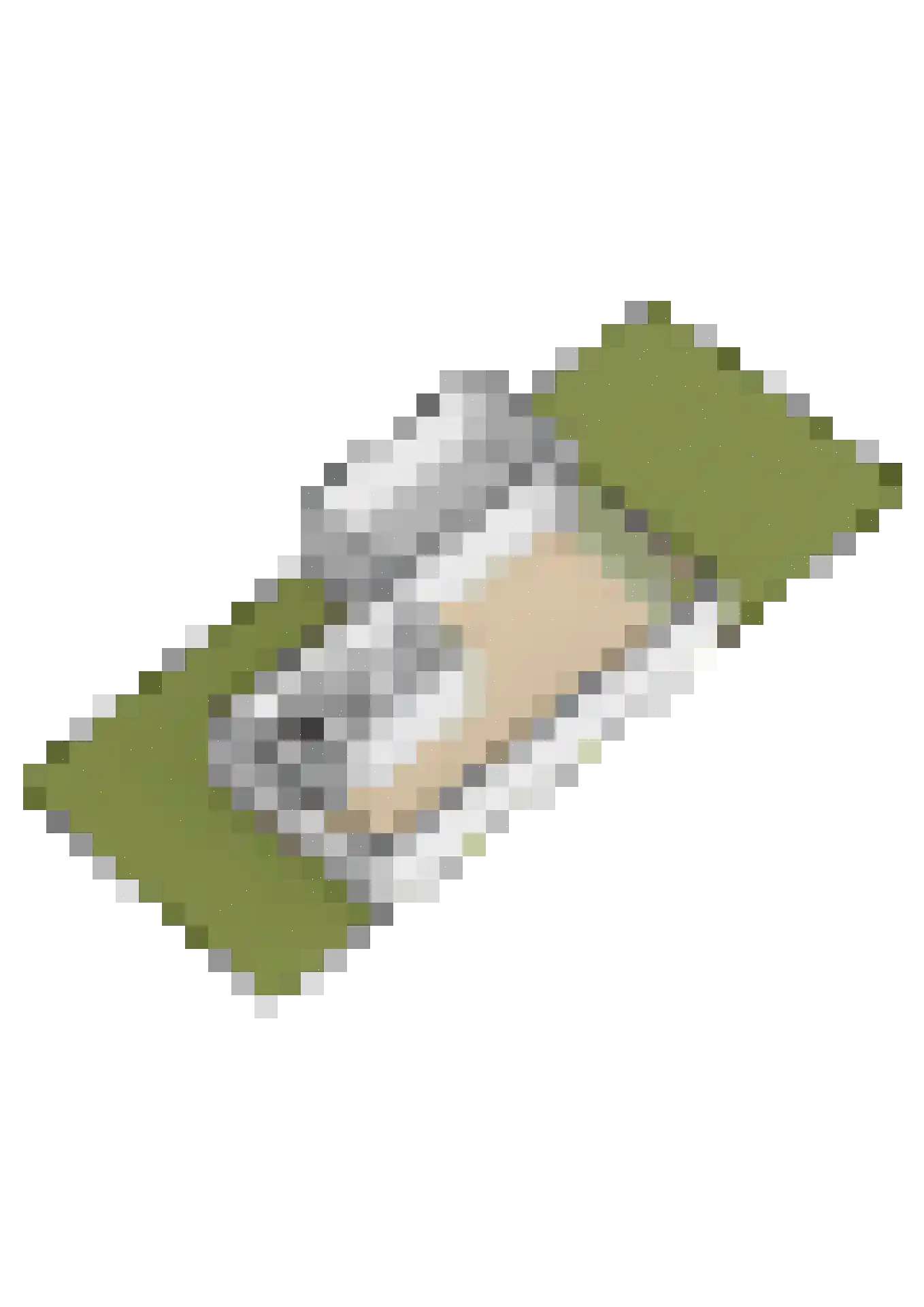 Hermelijnvlinder 39 Oosterhout thumbnail 52