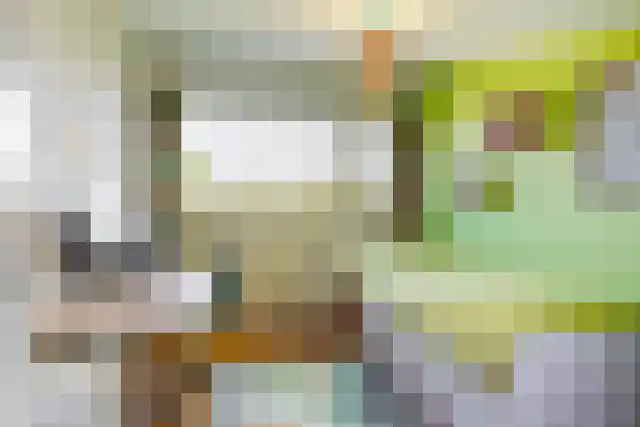 Hermelijnvlinder 62 Leiden thumbnail 10