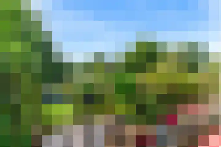 Hermelijnvlinder 62 Leiden thumbnail 21