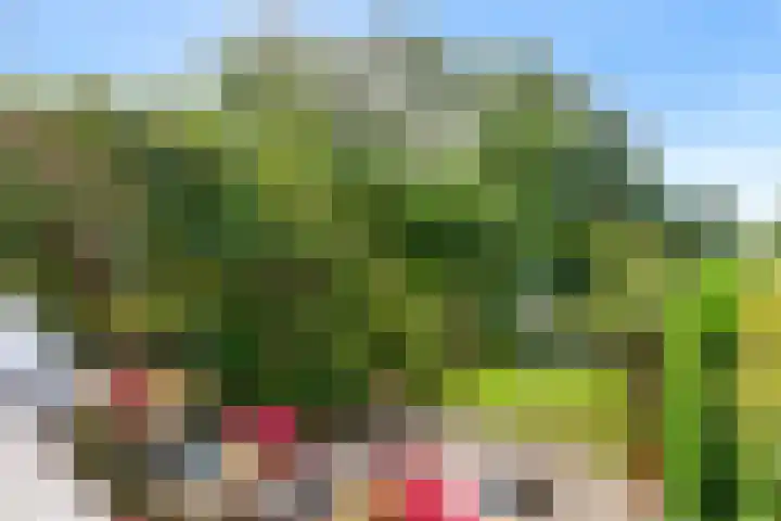 Hermelijnvlinder 62 Leiden thumbnail 22