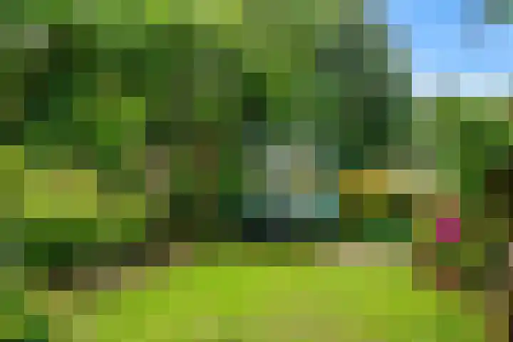 Hermelijnvlinder 62 Leiden thumbnail 23