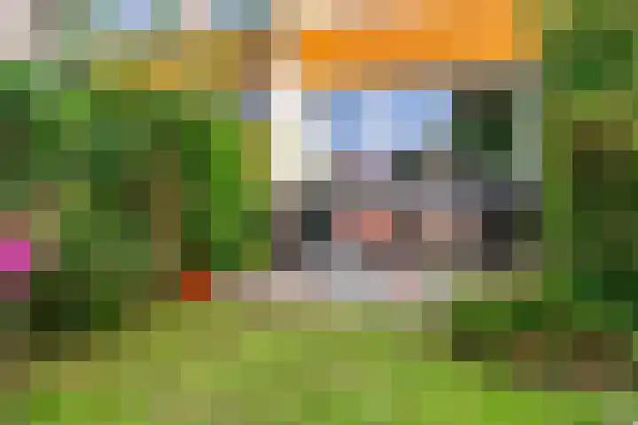 Hermelijnvlinder 62 Leiden thumbnail 24