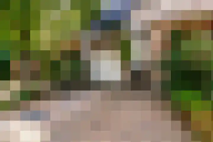 Hermelijnvlinder 62 Leiden thumbnail 25