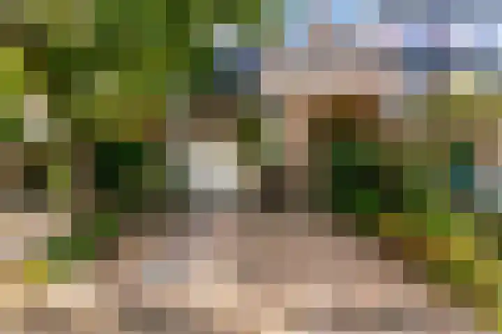 Hermelijnvlinder 62 Leiden thumbnail 26
