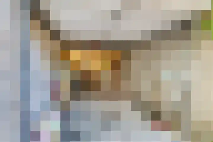 Hermelijnvlinder 62 Leiden thumbnail 27