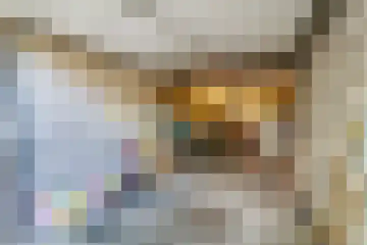 Hermelijnvlinder 62 Leiden thumbnail 28