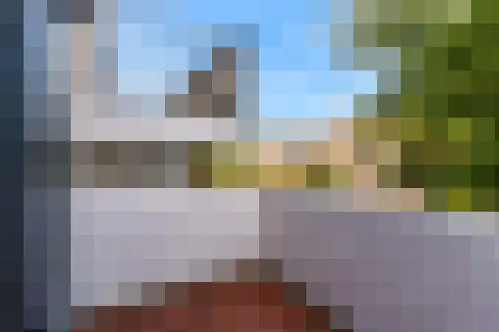 Hermelijnvlinder 62 Leiden thumbnail 29