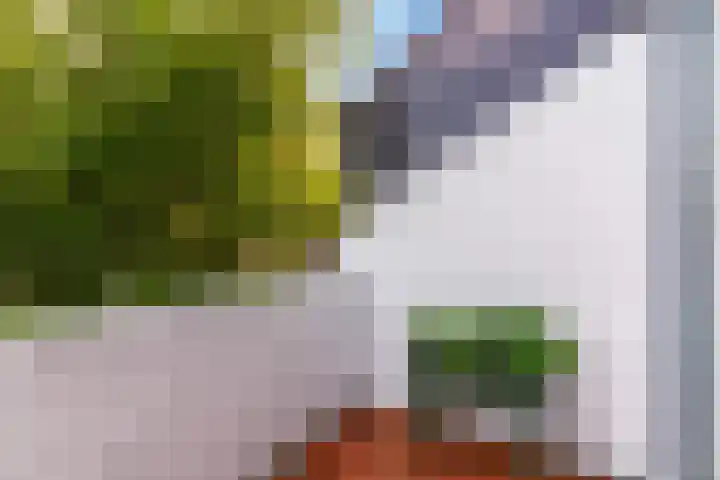 Hermelijnvlinder 62 Leiden thumbnail 30