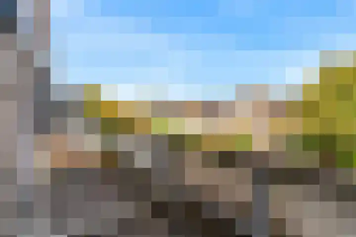 Hermelijnvlinder 62 Leiden thumbnail 31