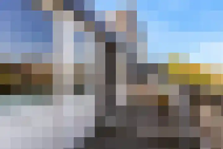 Hermelijnvlinder 62 Leiden thumbnail 32