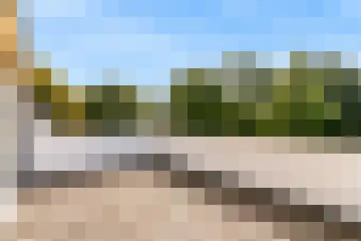 Hermelijnvlinder 62 Leiden thumbnail 33