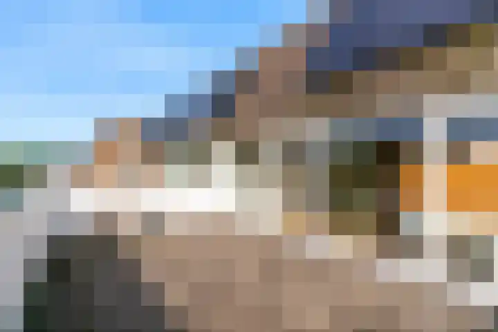 Hermelijnvlinder 62 Leiden thumbnail 34