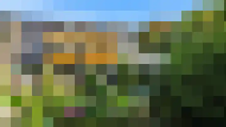 Hermelijnvlinder 62 Leiden thumbnail 36