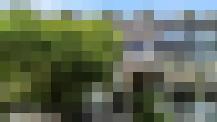 Hermelijnvlinder 62 Leiden thumbnail 39