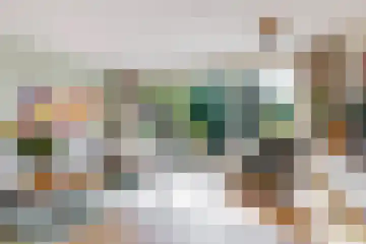 Hermelijnvlinder 62 Leiden thumbnail 4