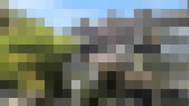 Hermelijnvlinder 62 Leiden thumbnail 40