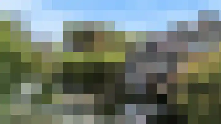 Hermelijnvlinder 62 Leiden thumbnail 41