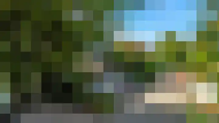 Hermelijnvlinder 62 Leiden thumbnail 42