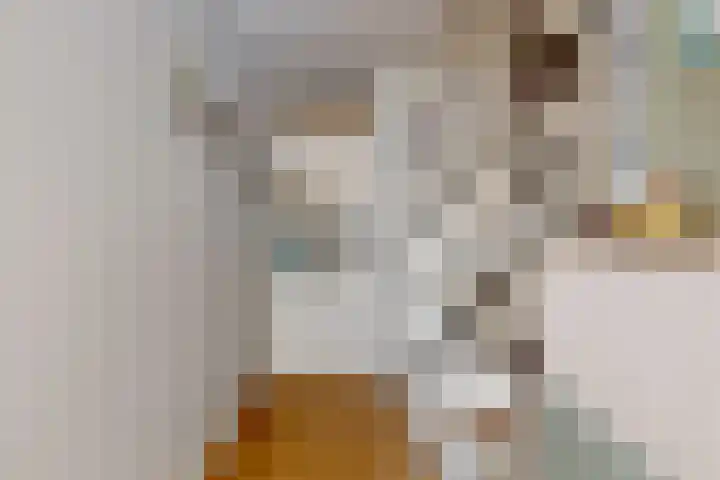 Hermelijnvlinder 62 Leiden thumbnail 9