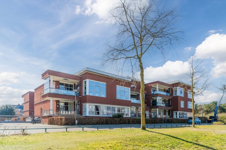 Hermelijnvlinder 67 in Oosterhout Foto