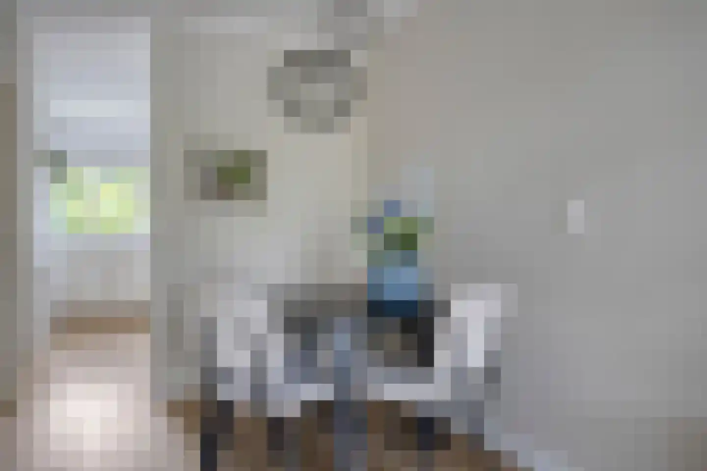 Hermelijnvlinder 7 Amersfoort thumbnail 13