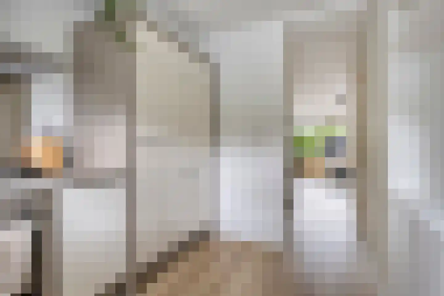 Hermelijnvlinder 7 Amersfoort thumbnail 16