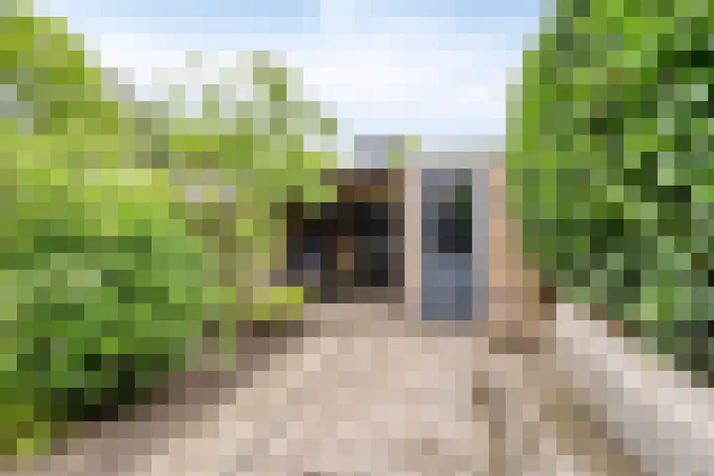 Hermelijnvlinder 7 Amersfoort thumbnail 27