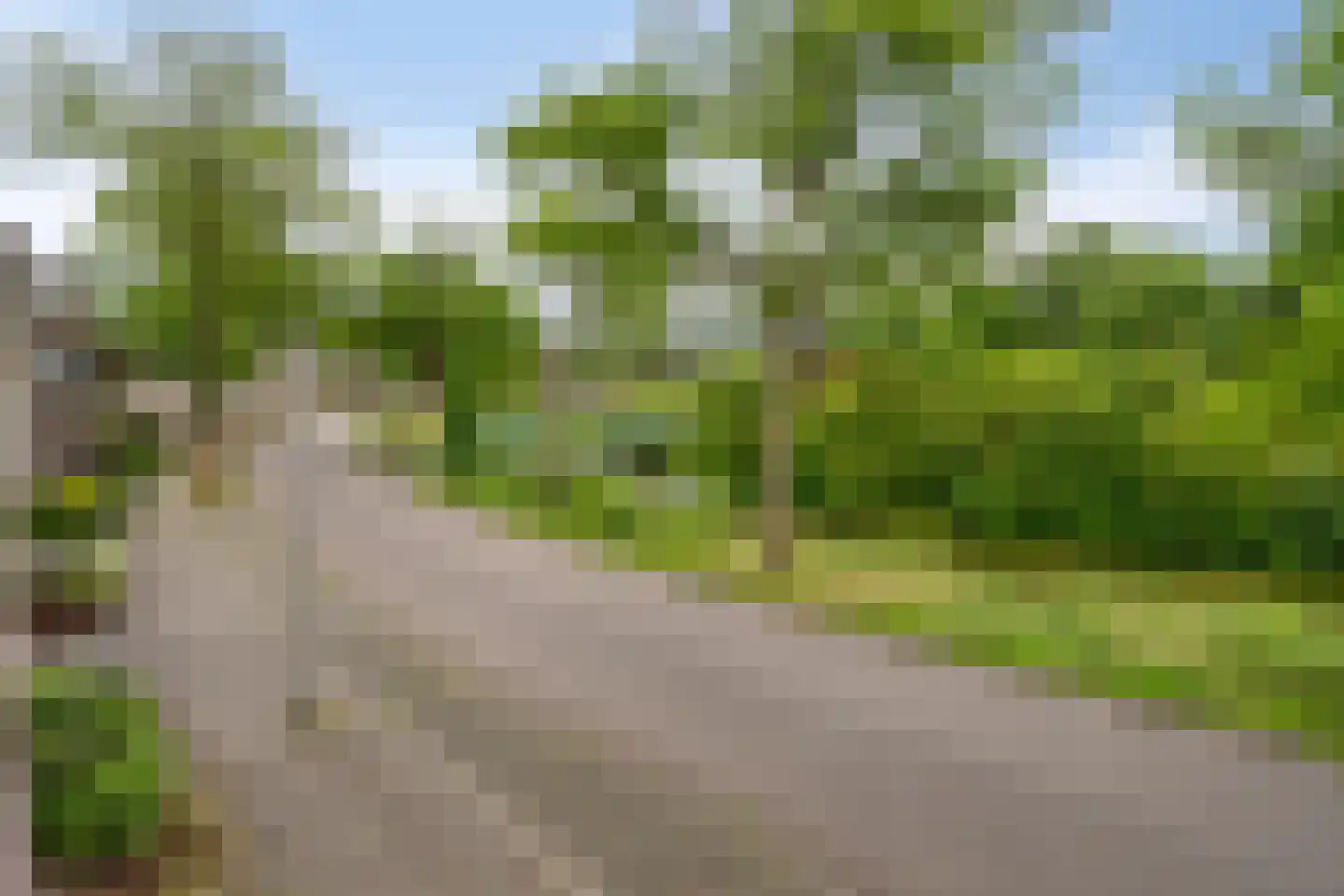 Hermelijnvlinder 7 Amersfoort thumbnail 28