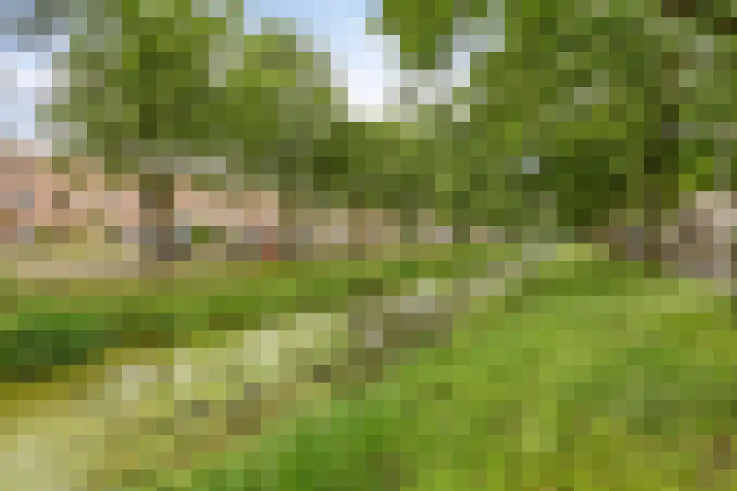 Hermelijnvlinder 7 Amersfoort thumbnail 29