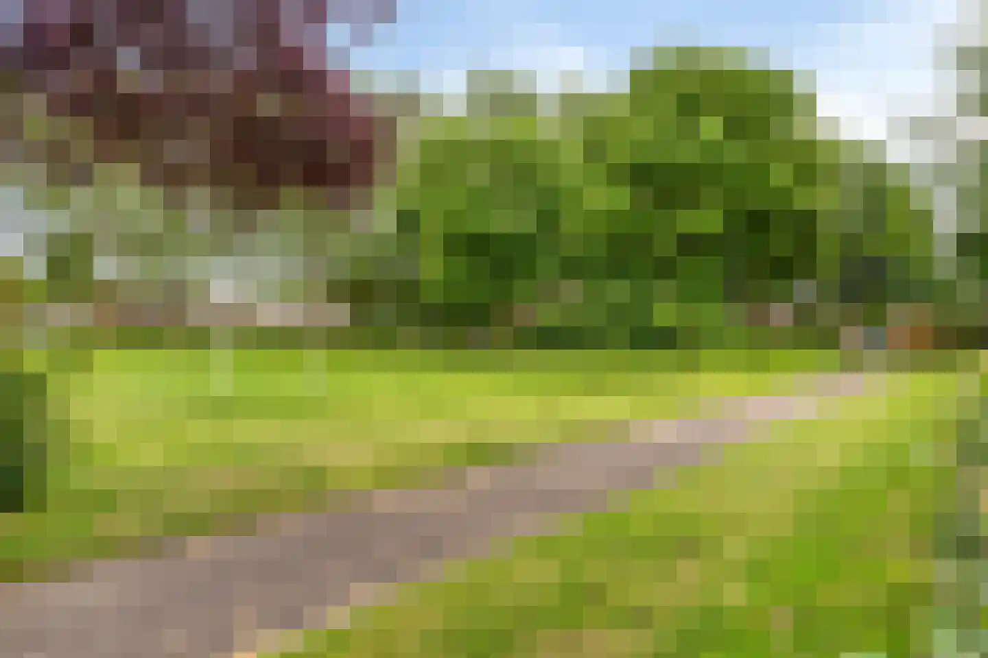 Hermelijnvlinder 7 Amersfoort thumbnail 30