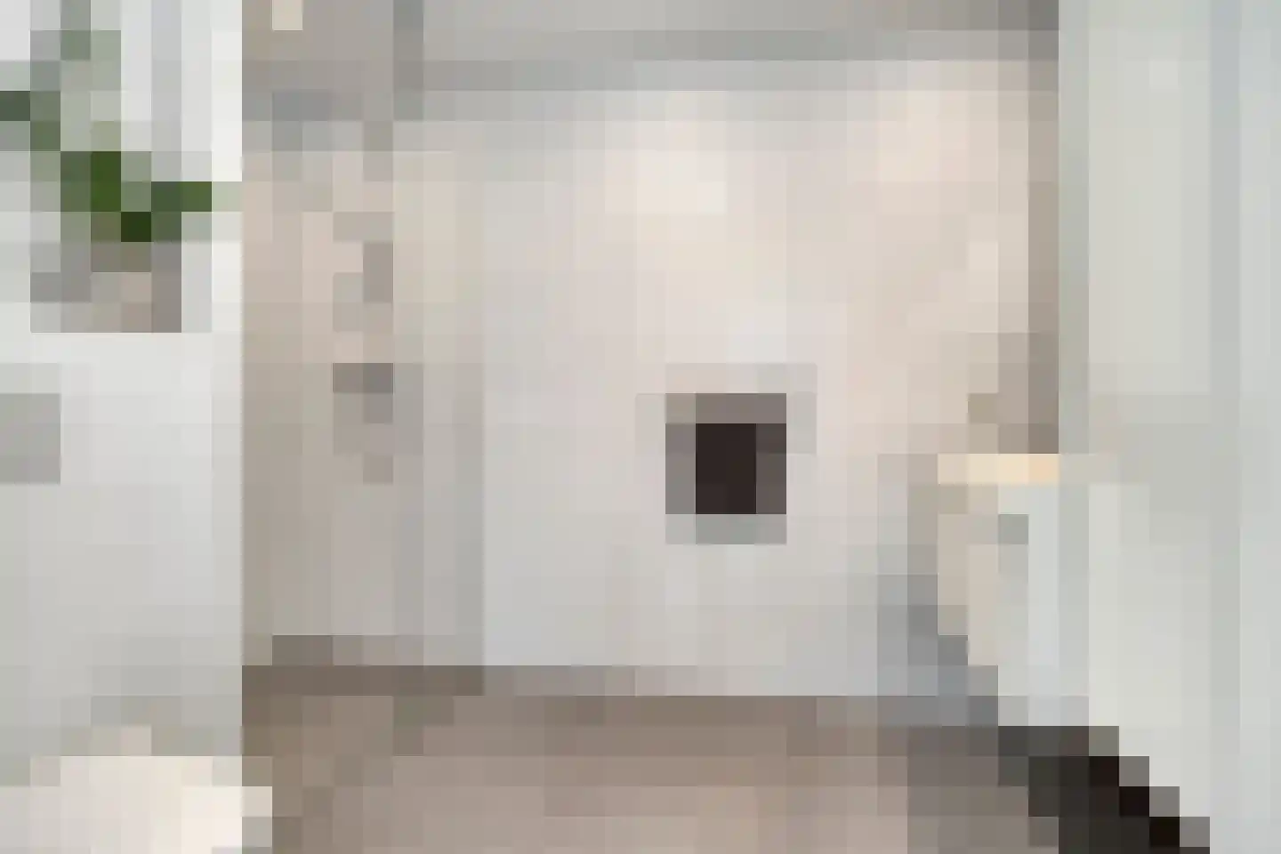 Hermelijnvlinder 7 Amersfoort thumbnail 4