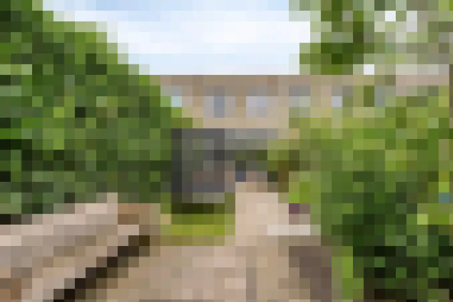 Hermelijnvlinder 7 Amersfoort thumbnail 5