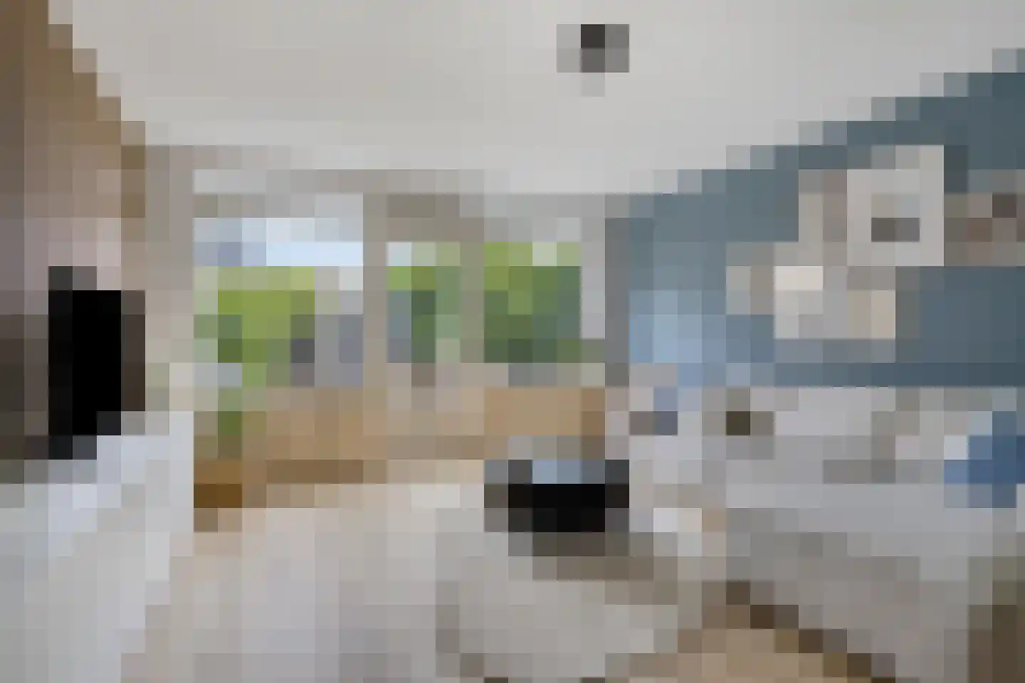 Hermelijnvlinder 7 Amersfoort thumbnail 9