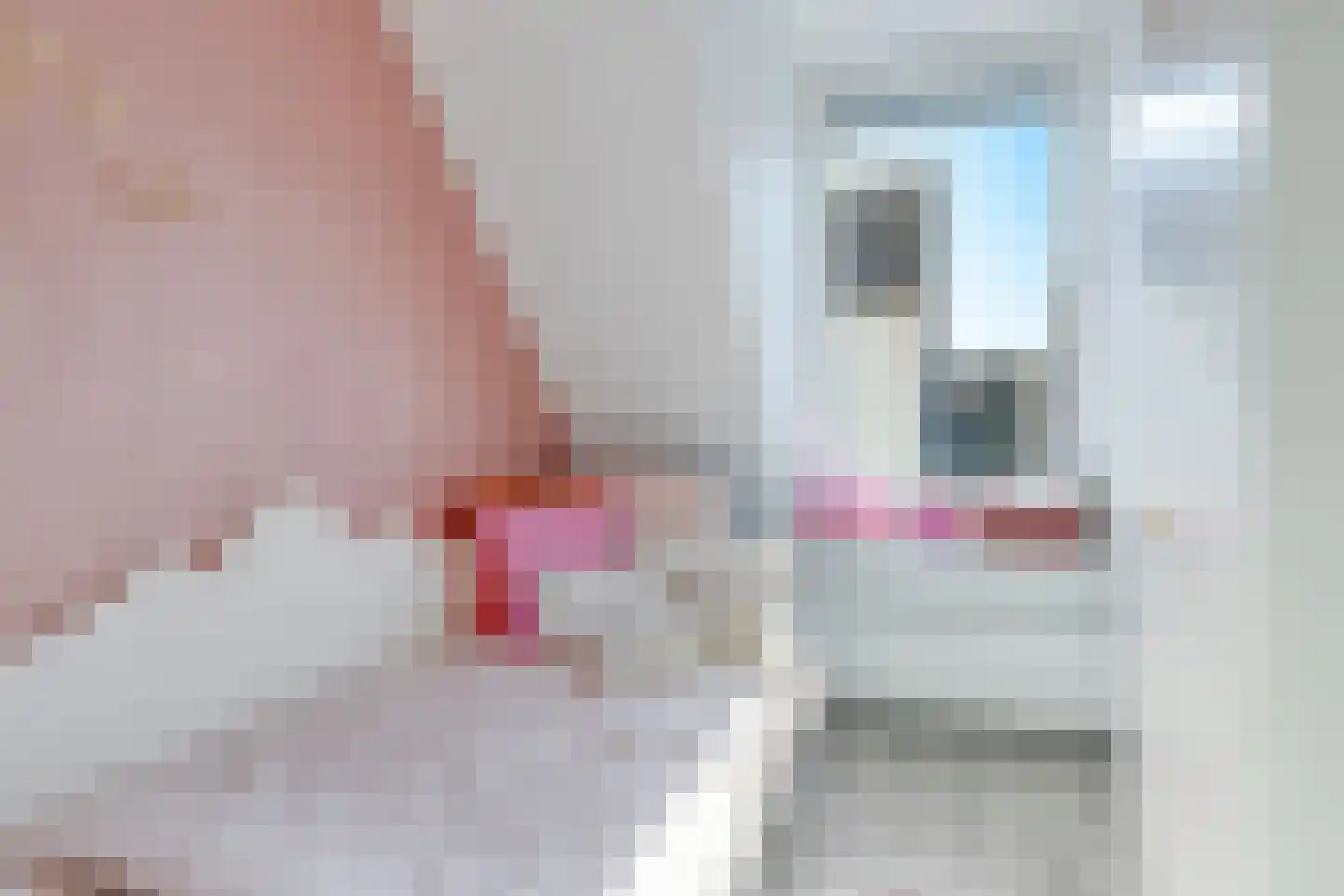 Hermelijnvlinderdijk 107 Utrecht thumbnail 19