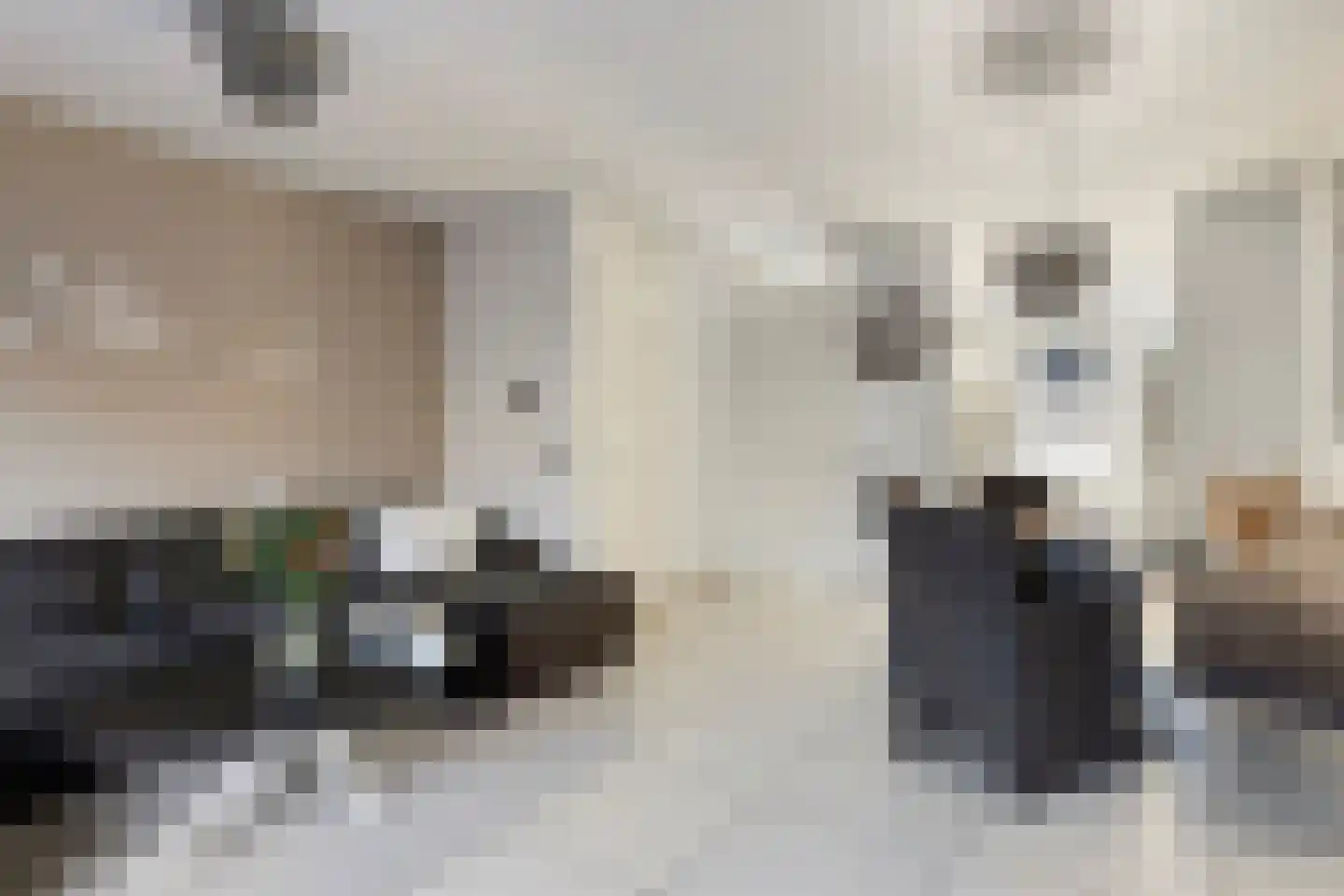 Hermelijnvlinderdijk 107 Utrecht thumbnail 9