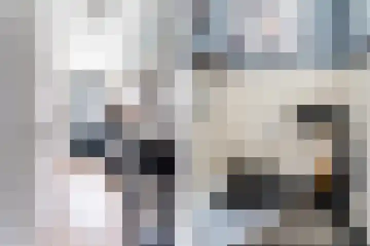 Hermelijnvlinderdijk 109 Utrecht thumbnail 16