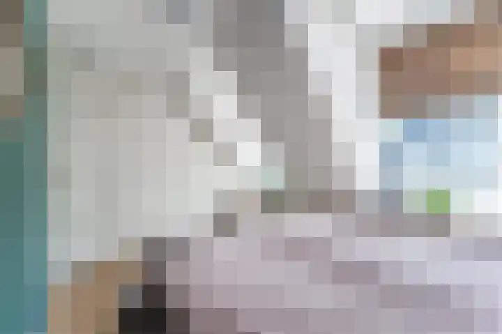 Hermelijnvlinderdijk 109 Utrecht thumbnail 19