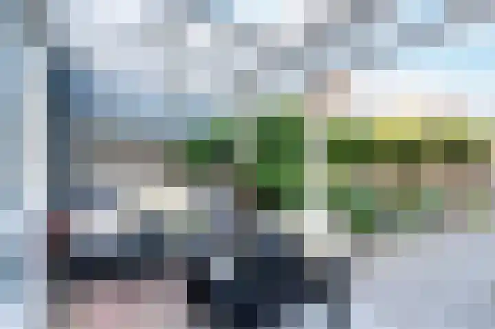 Hermelijnvlinderdijk 109 Utrecht thumbnail 37